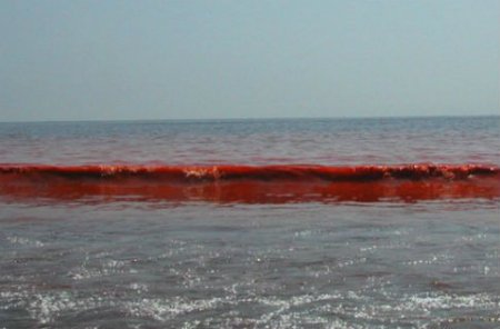 Азовское море стало кроваво-красным