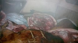 В Луганской области пограничники с тепловизором гонялись за контрабандой 300 кг "подарочной" свинины
