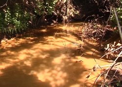 Вода в реке Миусик стала оранжевой и "мертвой"