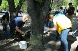 В Луганську дерева стали жовто-синіми, а Путіна посадили у банку (ФОТО)