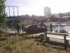 В Киеве в Русановском канале утонул автомобиль