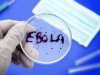 В Одессе научились диагностировать вирус Эбола 