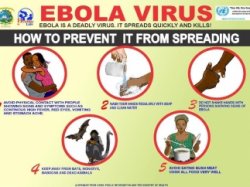 В столичных аэропортах введен санитарный контроль из-за вируса Эбола