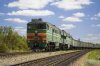 На Одессщине грузовой поезд насмерть сбил женщину