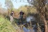 В Киевской области горит 17 гектаров торфяников
