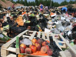 Российские коммунисты предлагают кормить жителей Луганска санкционными продуктами