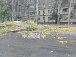 В Одессе из-за шторма отменили занятия в школах и вузах