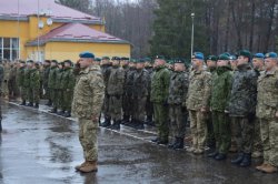 В Украине начались военные учения «Кленовая арка»