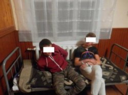На закарпатских пограничников напали пьяные юноши с палками