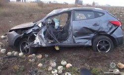 В Запорожской области перевернулось авто: есть пострадавшие