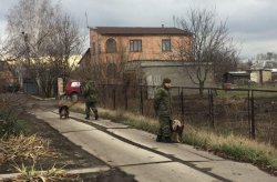 В Донецкой области неизвестные совершили тройное убийство 