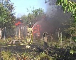 В ОРЛО сгорели 12 дачных домов