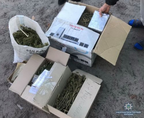 Полиция Луганщины разоблачила жителя Боровского, который собрал наркотический "урожай" на 150 тысяч гривен