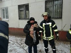 В Северодонецке сотрудники ГСЧС спасли кошку по кличке "Бабушка"