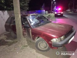 В Старобельском районе пьяный водитель с 4 детьми протаранил столб