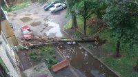 В Луганске гроза затопила улицы и ломала деревья - фото