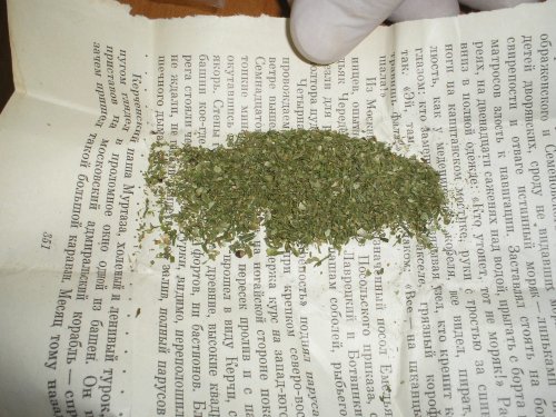 Луганские таможенники выявили контрабанду наркотиков в свертке из страниц книги про Петра I