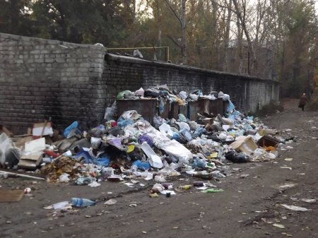 В Луганской области Молодгвардейск утопает в мусоре и грязи при полном бездействии городских и областных властей