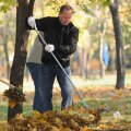 В Жовтневом районе Луганска прошёл самый большой и самый народный субботник