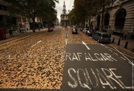 В Лондоне автомобили превратили дорогу в вышиванку из осенних листьев