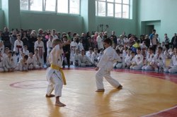 В Луганске состоялся чемпионат по годзю-рю карате-до