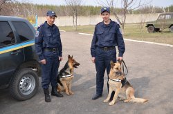 В Луганской области собаке с милицией  понадобилось чуть более двух часов чтобы найти пропавшую девочку