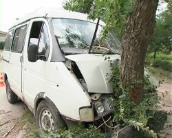 В Луганске водитель, выпив пива и водки, врезался в дерево