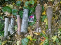 В Новопсковском районе в 5 км. от села обнаружили 2 минометные мины и патроны времен ВОВ