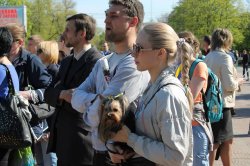 В Луганську дерева стали жовто-синіми, а Путіна посадили у банку (ФОТО)