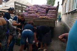 По 10 килограммов картошки на семью. В Старобельске началась раздача гуманитарной помощи
