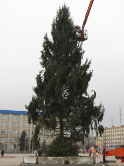 Как выглядит главная елка Луганской области (фото)