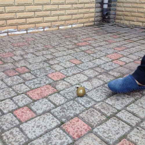 Во двор дома комбата "Кривбасса" бросили гранаты (фото)