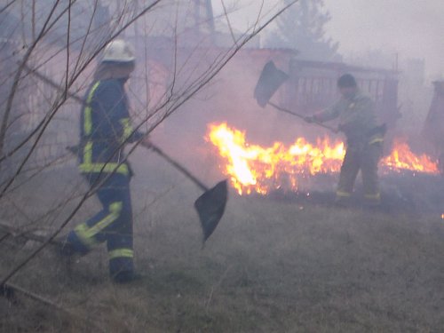 Спасатели Старобельщины советуют гражданам не сжигать сухостой (фото)