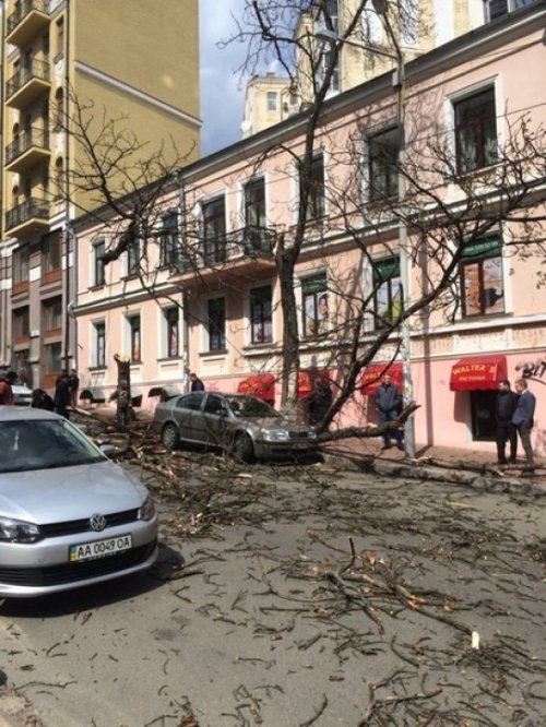 В Киеве ураганный ветер повалил деревья и билборды (фото)