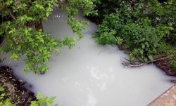 В Харьковской области от сбросов побелела река
