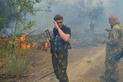 В Луганской области после обстрела из «Градов» горел сосновый лес