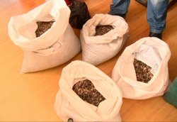 В Житомирской области изъяли более 100 килограммов янтаря
