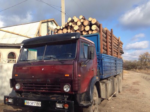 За сутки ГАИшники задержали 7 автомобилистов, которые незаконно перевозили древесину