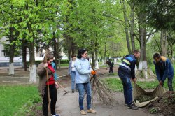 Переселенцы из Донбасса приняли участие в уборке Луцка перед Пасхой