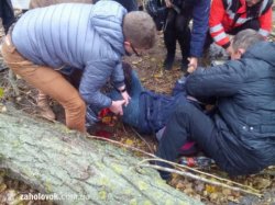В Ужгороде упавшее дерево покалечило школьницу