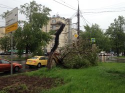 В Москве из-за урагана погибли люди. 40 человек получили ранения 