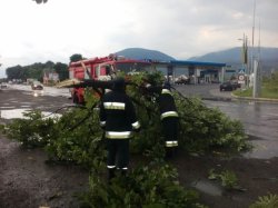 Ураган на Закарпатье повалил деревья и стены