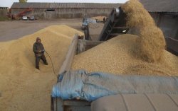 Террористы увеличили продажу зерна из Луганской области в Россию