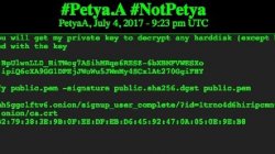 Британия официально обвинила Россию в атаке вируса NotPetya