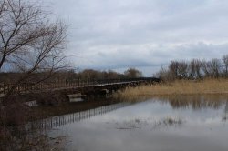 На Луганщине затоплены 14 мостов. Проезд транспорта ограничен