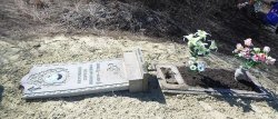 Житель Луганщины повредил 11 памятников на сельском кладбище 