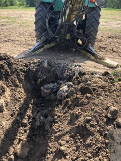 На Киевщине за создание птичьего могильника задержали владельцев агрохолдинга