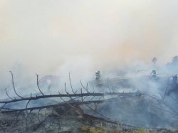 В Станично -Луганском районе возник масштабный пожар 