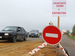 В Одесской области установили карантинные посты из-за вспышки сибирской язвы 