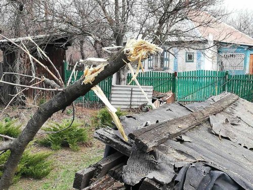 В Золотом деревья спасли от мин мирных жителей (фото)